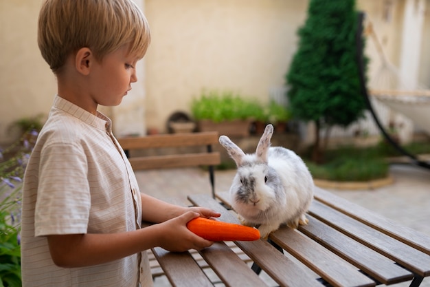 How Long Do Rabbits Live A Rabbit Lifespan Guide