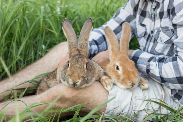 How Long Do Rabbits Live A Rabbit Lifespan Guide