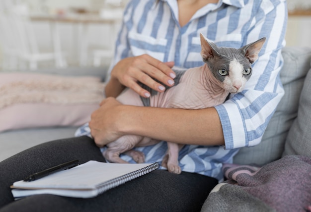 Sphynx Cat Breed Information