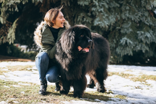 Newfoundland Dog Breed Information